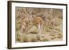 Giant Kangaroo-null-Framed Giclee Print