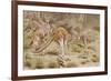 Giant Kangaroo-null-Framed Giclee Print