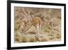 Giant Kangaroo-null-Framed Giclee Print