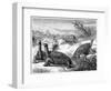 Giant Land Tortoises of the Galapagos Islands, 1884-null-Framed Premium Giclee Print