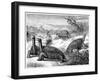Giant Land Tortoises of the Galapagos Islands, 1884-null-Framed Giclee Print