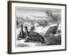 Giant Land Tortoises of the Galapagos Islands, 1884-null-Framed Giclee Print