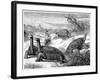 Giant Land Tortoises of the Galapagos Islands, 1884-null-Framed Giclee Print