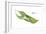 Giant Leaf Frog (Phyllomedusa Bicolor), Amphibians-Encyclopaedia Britannica-Framed Art Print