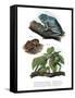 Giant Leaf Frog-null-Framed Stretched Canvas