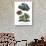 Giant Leaf Frog-null-Giclee Print displayed on a wall