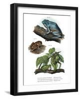 Giant Leaf Frog-null-Framed Giclee Print