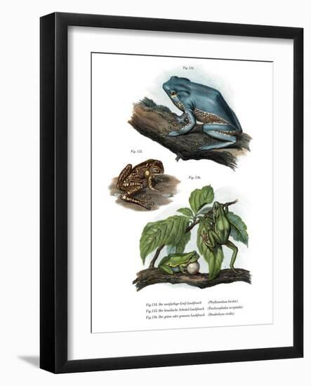 Giant Leaf Frog-null-Framed Giclee Print