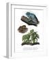 Giant Leaf Frog-null-Framed Giclee Print