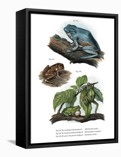 Giant Leaf Frog-null-Framed Stretched Canvas