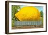 Giant Lemon on Flatbed, Florida-null-Framed Art Print