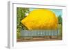 Giant Lemon on Flatbed, Florida-null-Framed Art Print