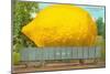 Giant Lemon on Flatbed, Florida-null-Mounted Art Print