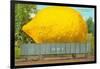 Giant Lemon on Flatbed, Florida-null-Framed Art Print