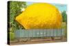 Giant Lemon on Flatbed, Florida-null-Stretched Canvas