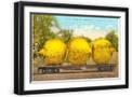 Black Frame