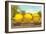 Giant Lemons on Flatbed-null-Framed Art Print