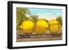 Giant Lemons on Flatbed-null-Framed Art Print
