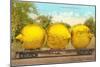 Giant Lemons on Flatbed-null-Mounted Art Print