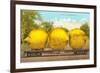 Giant Lemons on Flatbed-null-Framed Premium Giclee Print