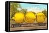 Giant Lemons on Flatbed-null-Framed Stretched Canvas