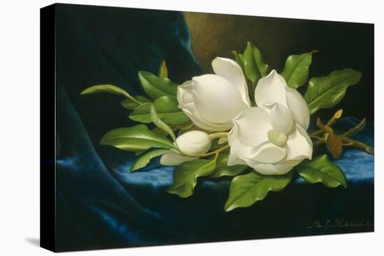 Giant Magnolias on a Blue Velvet Cloth, 1890-Martin Johnson Heade-Stretched Canvas