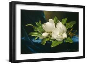 Giant Magnolias on a Blue Velvet Cloth, 1890-Martin Johnson Heade-Framed Art Print