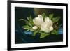 Giant Magnolias on a Blue Velvet Cloth, 1890-Martin Johnson Heade-Framed Art Print