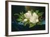 Giant Magnolias on a Blue Velvet Cloth, 1890-Martin Johnson Heade-Framed Art Print