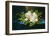 Giant Magnolias on a Blue Velvet Cloth, by Martin Johnson Heade, 1890, American oil painting.-Martin Johnson Heade-Framed Premium Giclee Print