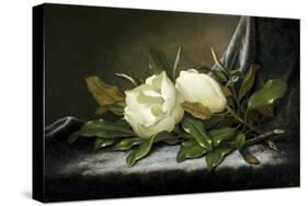 Giant Magnolias on a Light Blue Velvet Cloth-Martin Johnson Heade-Stretched Canvas