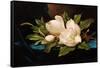 Giant Magnolias on Blue Cloth-Martin Johnson Heade-Framed Stretched Canvas