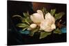 Giant Magnolias on Blue Cloth-Martin Johnson Heade-Stretched Canvas