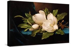 Giant Magnolias on Blue Cloth-Martin Johnson Heade-Stretched Canvas