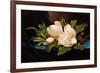 Giant Magnolias on Blue Cloth-Martin Johnson Heade-Framed Giclee Print