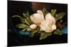 Giant Magnolias on Blue Cloth-Martin Johnson Heade-Mounted Giclee Print