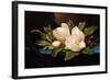 Giant Magnolias on Blue Cloth-Martin Johnson Heade-Framed Giclee Print