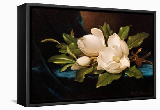 Giant Magnolias on Blue Cloth-Martin Johnson Heade-Framed Stretched Canvas