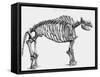 Giant Mastodon Skeleton, 1830-null-Framed Stretched Canvas