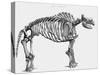 Giant Mastodon Skeleton, 1830-null-Stretched Canvas