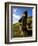 Giant Monolithic Stone Moai Statues at Rano Raraku, Rapa Nui, Chile-Gavin Hellier-Framed Photographic Print