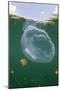 Giant Moon Jellyfish in Jellyfish Lake (Aurita Aurita) with Mastigias Jellyfish in the Background-Reinhard Dirscherl-Mounted Photographic Print