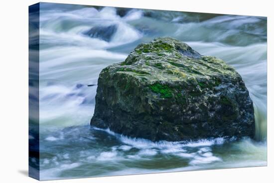 Giant Moss Covered Boulder Swirling Water-Anthony Paladino-Stretched Canvas