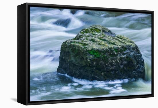 Giant Moss Covered Boulder Swirling Water-Anthony Paladino-Framed Stretched Canvas