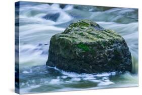 Giant Moss Covered Boulder Swirling Water-Anthony Paladino-Stretched Canvas