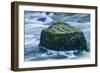 Giant Moss Covered Boulder Swirling Water-Anthony Paladino-Framed Giclee Print