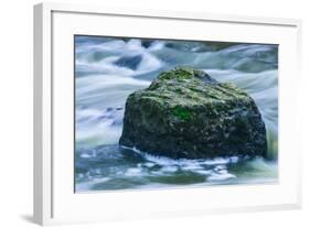 Giant Moss Covered Boulder Swirling Water-Anthony Paladino-Framed Giclee Print