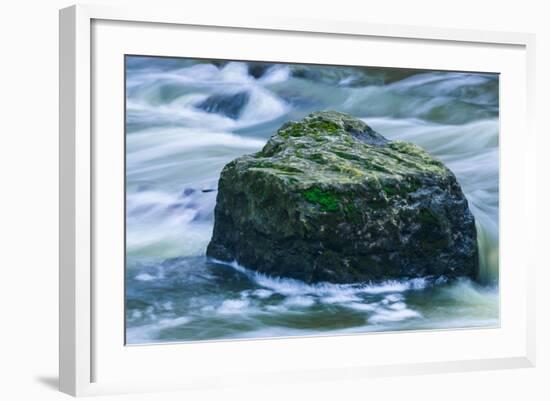 Giant Moss Covered Boulder Swirling Water-Anthony Paladino-Framed Giclee Print