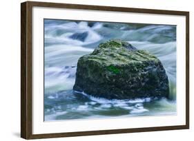 Giant Moss Covered Boulder Swirling Water-Anthony Paladino-Framed Giclee Print