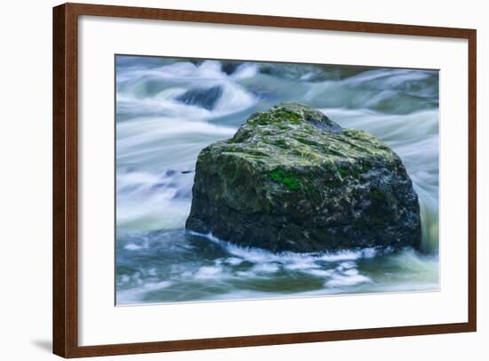 Giant Moss Covered Boulder Swirling Water-Anthony Paladino-Framed Giclee Print